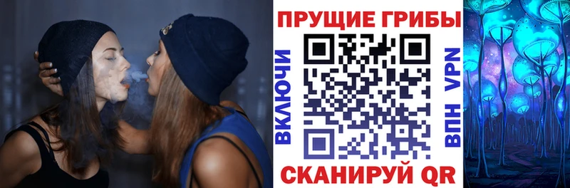 что такое   Усинск  Псилоцибиновые грибы Cubensis 