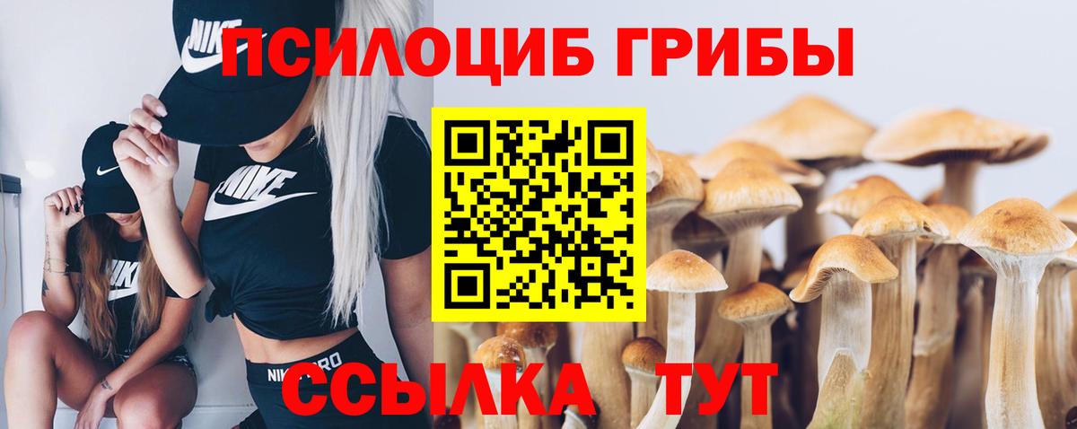 Усинск  Галлюциногенные грибы Magic Shrooms  Вход с VPN 