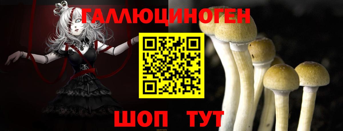 Псилоцибиновые грибы Magic Shrooms  Усинск 
